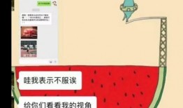 瓜哥吃瓜吐槽网文视频,揭秘网络热点背后的真相与笑料