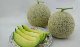 带你吃瓜的语音包,带你领略“吃瓜群众”的趣味生活