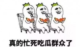 侍从的吃瓜 修养,品味人生，提升自我