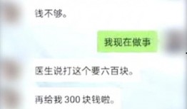 网恋被骗转账吃瓜,被骗转账，揭秘网恋背后的“吃瓜”真相