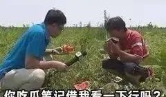 孩子吃瓜配文,孩子吃瓜的欢乐时光