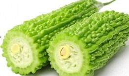 吃蜜瓜舌头苦,揭秘舌头苦涩的奇妙现象