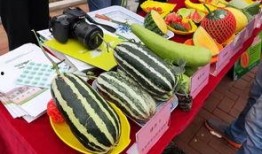 章丘吃瓜群众事件