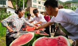 晚上看热闹吃瓜,一场全民“吃瓜”盛宴