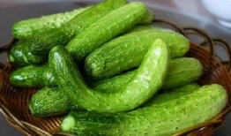 渔圈吃瓜,吃瓜群众如何解读娱乐圈风云变幻