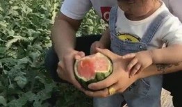 和老公吃瓜,揭秘娱乐圈幕后故事