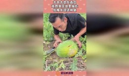 力哥吃瓜,揭秘娱乐圈那些不为人知的幕后故事