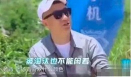 孙红雷吃瓜第几集,揭秘第X集精彩瞬间