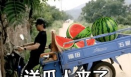 吃瓜文案男女,揭秘娱乐圈的甜蜜与苦涩