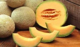 吃瓜吗西瓜还是哈密瓜,西瓜与哈密瓜的甜蜜对决