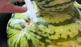 吃瓜叶搞笑配音,叶氏配音带你领略幽默瓜叶风