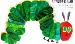 猫猫虫吃小狗瓜,一场奇妙的生态邂逅