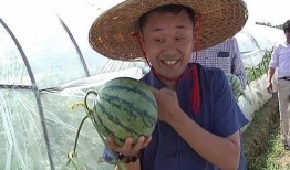 新年吃瓜第二弹