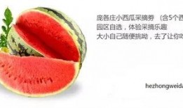 吃瓜中心下载,下载背后的秘密与精彩瞬间