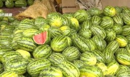 蓝遇吃瓜,揭秘娱乐圈背后的那些事儿