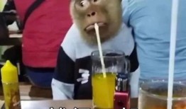 精神小伙吃瓜不给钱,引发网友热议