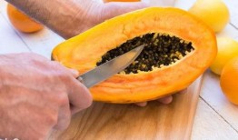 糖牛吃瓜,甜蜜与幽默的田园生活趣事