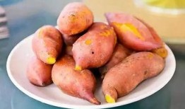 无根门吃瓜,揭秘神秘吃瓜背后的江湖风云