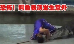 吃瓜精,网络时代的围观文化解析