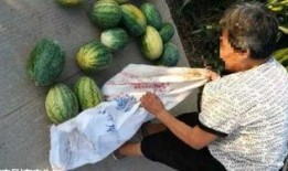 恩施最近吃瓜视频,揭秘当地奇闻轶事