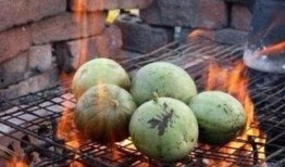 吃瓜奇葩东西图片大全