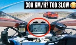 兰博吃瓜江湖,揭秘娱乐圈幕后风云