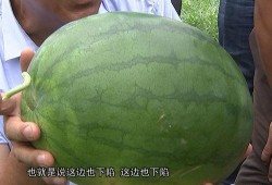 优质吃瓜网友,优质吃瓜网友带你领略幕后风云