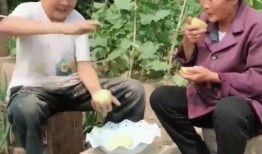 儿子跟妈吃瓜,品尝美味瓜果
