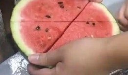 无根门吃瓜,揭秘神秘吃瓜背后的江湖风云