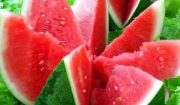 假吃西瓜哈密瓜