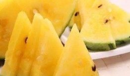 求吃瓜图,揭秘吃瓜图背后的趣味与真相