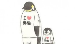 吃瓜教练练车,轻松上路不是梦