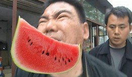 吃瓜河南生气,一场网络情绪的发酵与反思