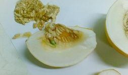 梦到吃瓜没籽,无籽瓜果的奇幻之旅