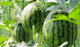 吃瓜吃了那么久,见证娱乐圈风云变幻的幕后故事