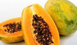 梦见吃蜜蛋瓜,揭秘蜜蛋瓜的奇幻之旅