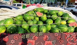 郑州吃瓜图片,一图看尽人间百态