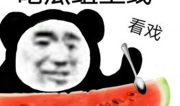 吃瓜打赏,揭秘网络吃瓜文化的打赏现象