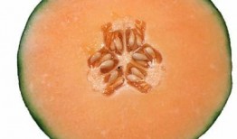 怀孕吃蜜瓜吗,营养美味两不误