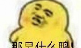 吃瓜表情包脚,揭秘网络文化的趣味与魅力