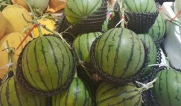 壳子吃瓜,揭秘娱乐圈背后的秘密与八卦