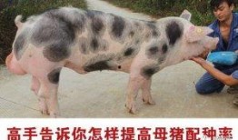 快穿男配种田吃瓜,种田吃瓜，解锁幸福人生