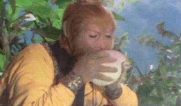 悟空吃瓜事件始末,一场网络狂欢的始末揭秘