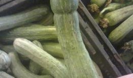 贝特瑞吃瓜,揭秘娱乐圈幕后真相