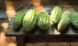 吃货吃无籽瓜,吃货们的味蕾狂欢之旅