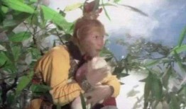 悟空吃瓜事件始末,一场网络狂欢的始末揭秘