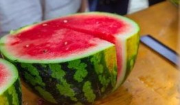 学校吃瓜的视频,揭秘学校吃瓜盛况，欢乐瞬间尽收眼底