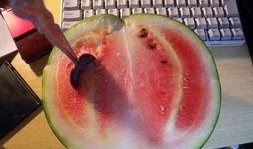 力哥吃瓜,揭秘娱乐圈那些不为人知的幕后故事