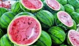 梦到吃瓜 瓜里长虫,吃瓜遇虫，揭秘潜意识中的恐惧与期待