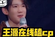 吃瓜处cp,一场吃瓜处CP的甜蜜之旅